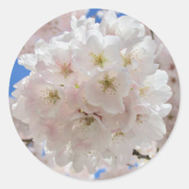 Rosa Blommar Bollar. Runt Klistermärke