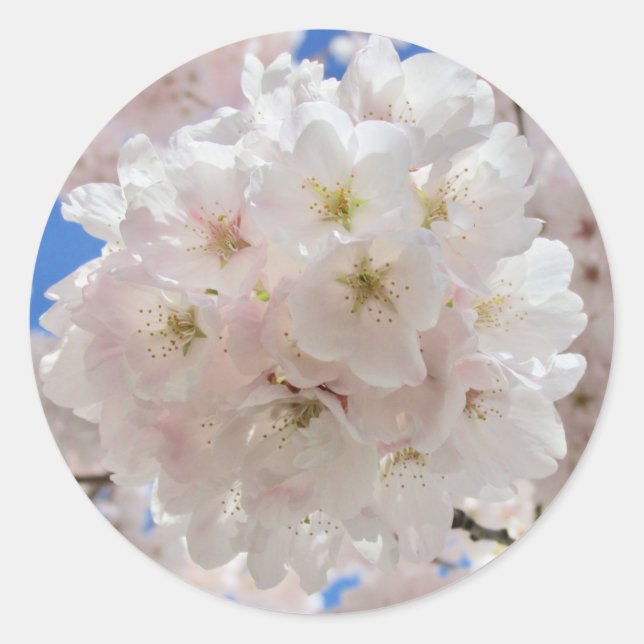 Rosa Blommar Bollar. Runt Klistermärke (Framsida)