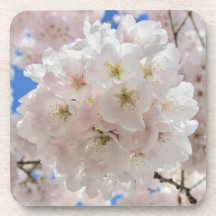 Rosa Blommar Bollar.