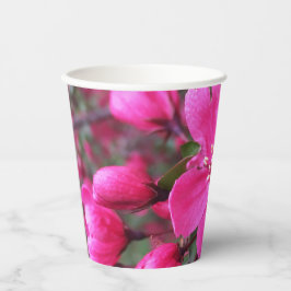 Rosa Blommar Crabapple