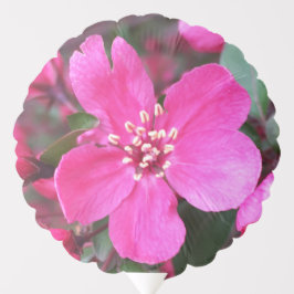 Rosa Blommar Crabapple