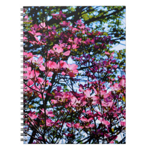 Rosa blommar Dogwood träd Anteckningsbok Med Spiral