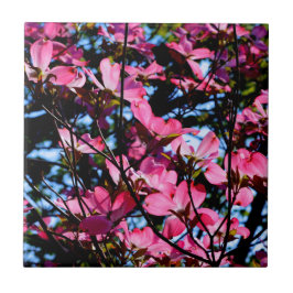 Rosa blommar dogwood träd fotokeramisk plattor kakelplatta