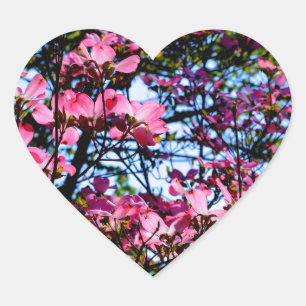 Rosa blommar Dogwood träd Hjärtformat Klistermärke