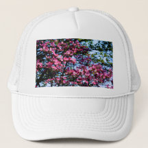 Rosa blommar Dogwood träd