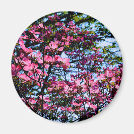 Rosa blommar Dogwood träd Magnet