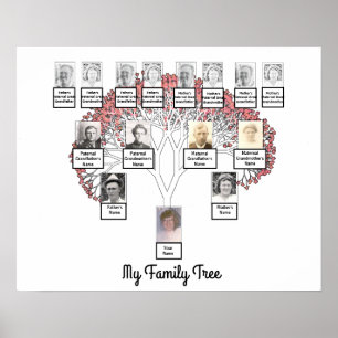 Rosa Blommar Fractal Family Träd med Photo Poster