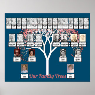Rosa Blommar Fractal Träd Blue 2 Family Träd Poster