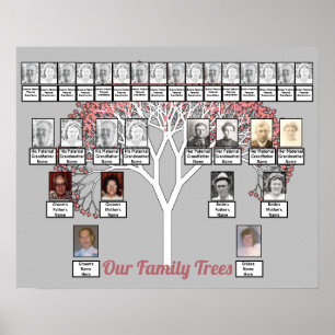 Rosa Blommar Fractal Träd Grått Two Family Träd Poster