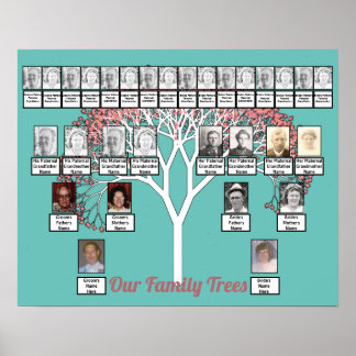 Rosa Blommar Fractal Träd Teal 2 Family Träd Poster