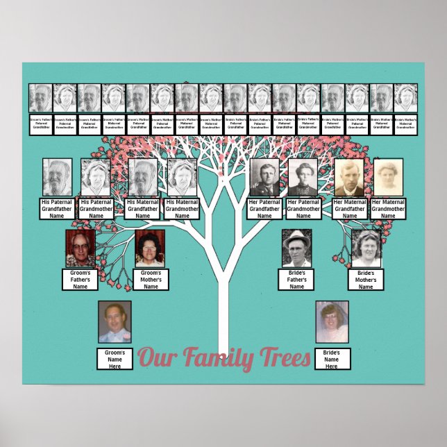 Rosa Blommar Fractal Träd Teal 2 Family Träd Poster (Framsidan)