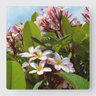 Rosa Blommar Frangipani Träd Fyrkantig Klocka