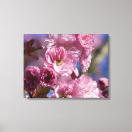 Rosa Blommar Japanska Cherry Blommars Wall Art Canvastryck
