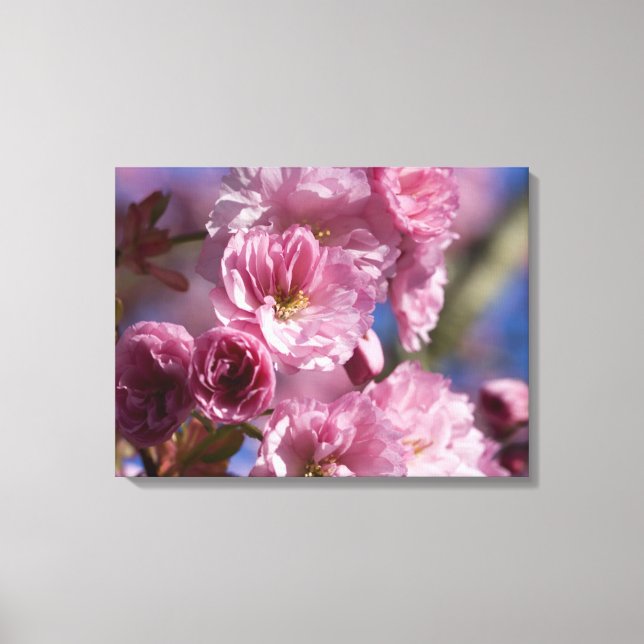 Rosa Blommar Japanska Cherry Blommars Wall Art Canvastryck (Framsida)