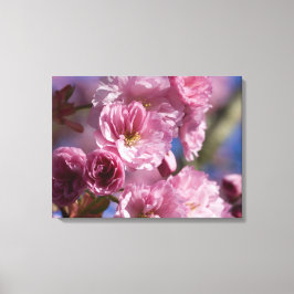 Rosa Blommar Japanska Cherry Blommars Wall Art Canvastryck