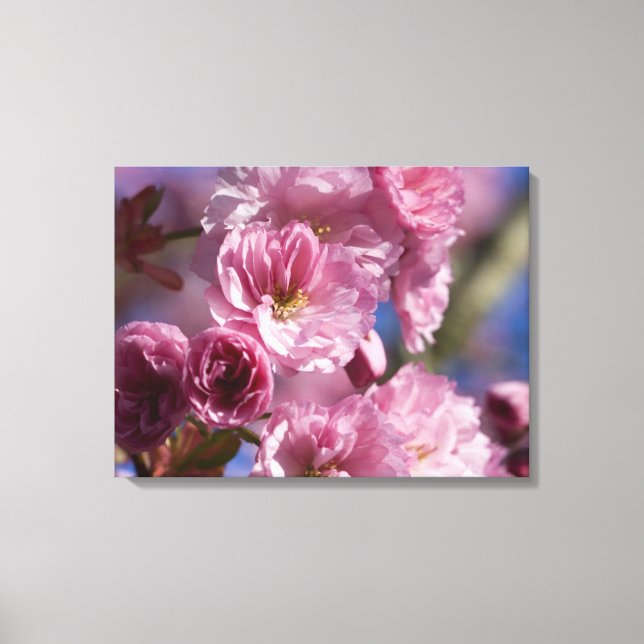 Rosa Blommar Japanska Cherry Blommars Wall Art Canvastryck (Framsida)