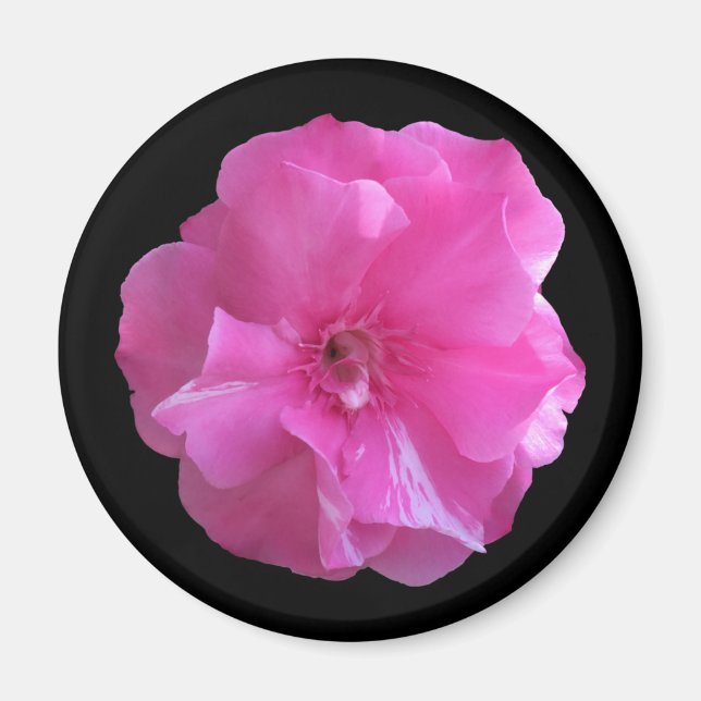 Rosa Blommar Magnet (Framsidan)