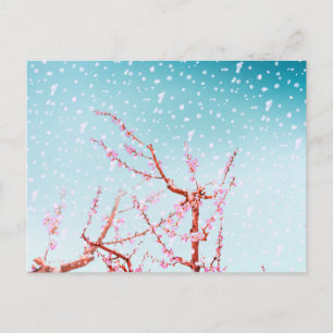 Rosa blommar och flygblad (eller snö?) vykort