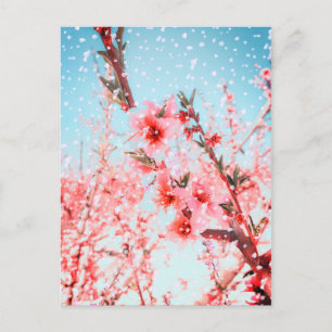 Rosa blommar och flygblad (eller snö?) vykort