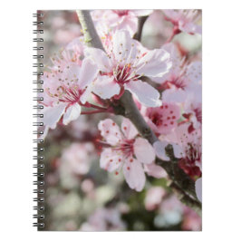 Rosa Blommar Red Stems. Anteckningsbok