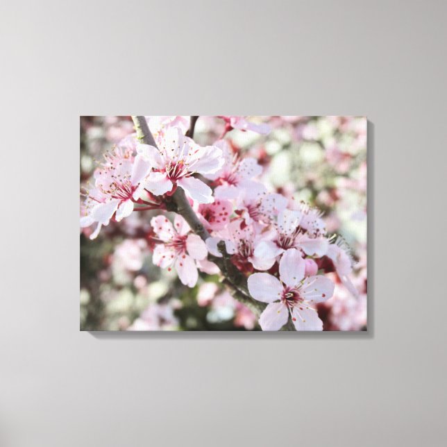 Rosa Blommar Red Stems. Canvastryck (Framsida)