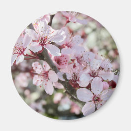 Rosa Blommar Red Stems. Magnet