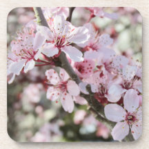 Rosa Blommar Red Stems.