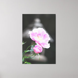 Rosa Blommar Ro Canvastryck