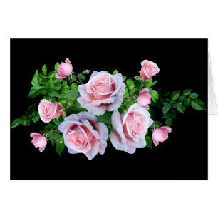Rosa Blommar Ro Hälsningskort