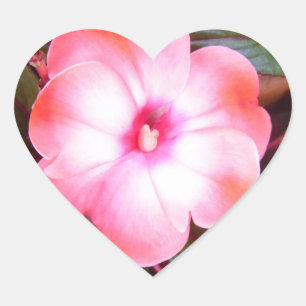 Rosa Blommar Stickers Hjärtformat Klistermärke