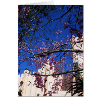 Rosa Blommar Träd kort