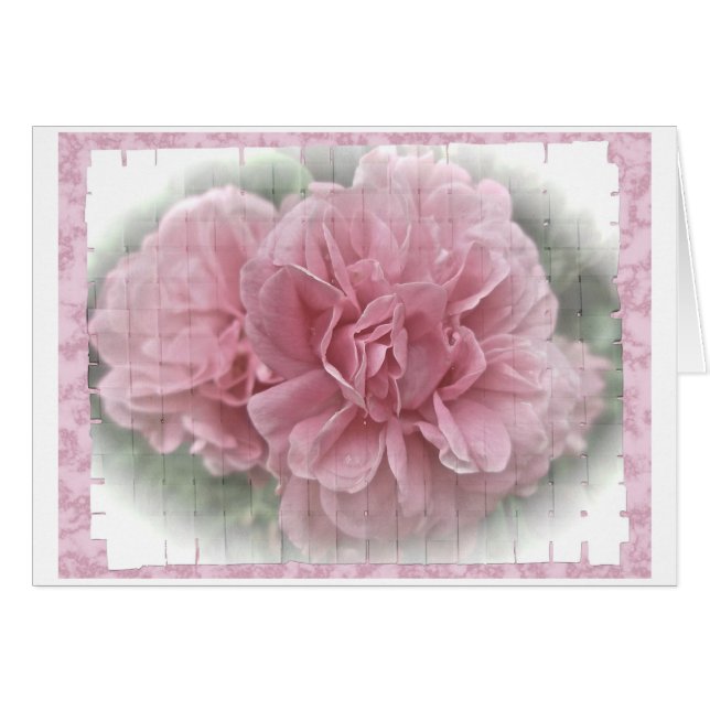 Rosa Blommar vid Ro Hälsningskort (Framsidan Horizontal)