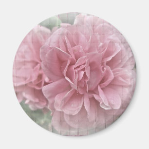 Rosa Blommar vid Ro Magnet