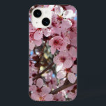 Rosa Blommar vid Träd vid Blommar av prydnadsdjur<br><div class="desc">Här är det sista i en serie bilder med rosa och vit blommande träd från Albuquerque - i tid för vår här i Maryland. Det här verkar vara en underbar prydnadspersika träd. Kolla in vår affär för vackrare blommar vår träd, inklusive hundskog och blommar päron träd. Det här bild är...</div>
