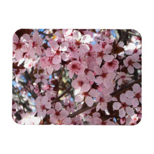 Rosa Blommar vid Träd vid Blommar av prydnadsdjur Magnet