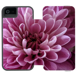 Rosa Blommig Fotodesign