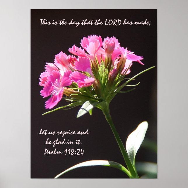 Rosa Blommigt Bloom w/ Verse från Psalm 118:24 Poster (Framsidan)
