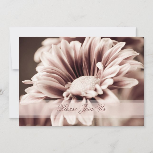 Rosa Blommigt Bröllop Vow-inbjudan om förnyelse Inbjudningar (Framsida)