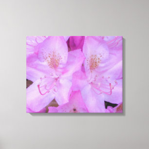 Rosa Blommigt Canvas Art