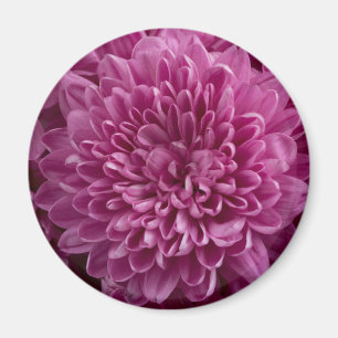 Rosa Blommigt Magnet
