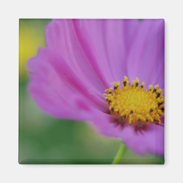 Rosa Blommigt Magnet (Framsidan)