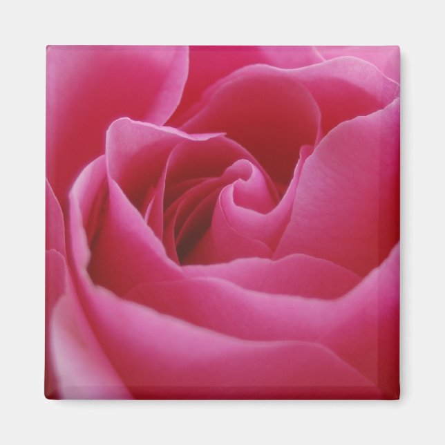 Rosa Blommigt Magnet (Framsidan)