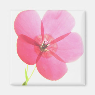 Rosa Blommigt Magnet