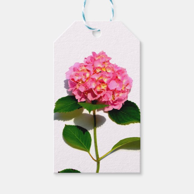 Rosa blommigt rosa av rosa  presentetikett (Framsidan)