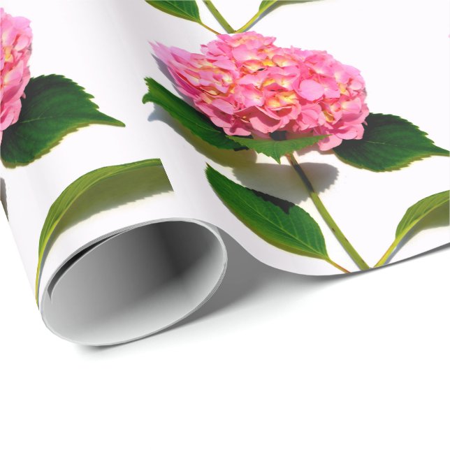 Rosa blommigt rosa av rosa  presentpapper (Rullad Hörn)