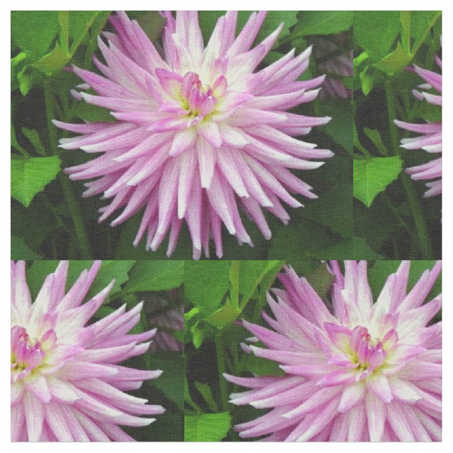 Rosa blommigt tyg (Närbild)