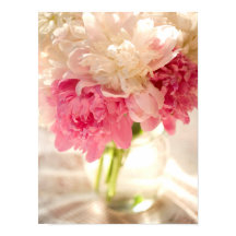 Rosa Blommigt värde Poster Pappert (projektionsyta