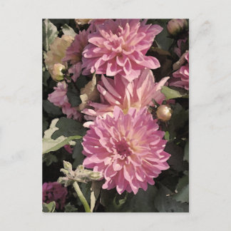 Rosa blommönster art av Renee Lavoie Vykort