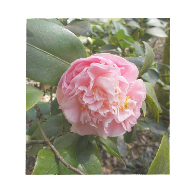 Rosa blommor anteckningsblock (Framsida)