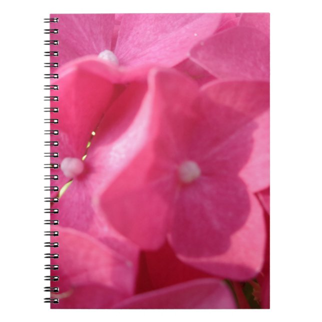 rosa blommor anteckningsbok (Framsidan)
